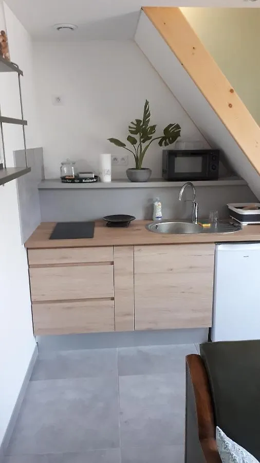 Le Chartreuse / Rent4Night Grenoble Lejlighed