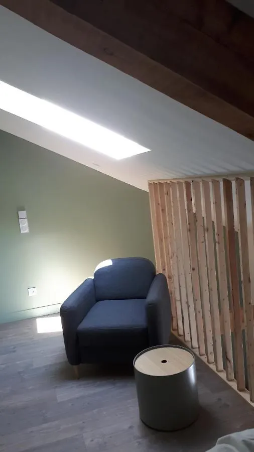 Le Chartreuse / Rent4Night Grenoble Lejlighed